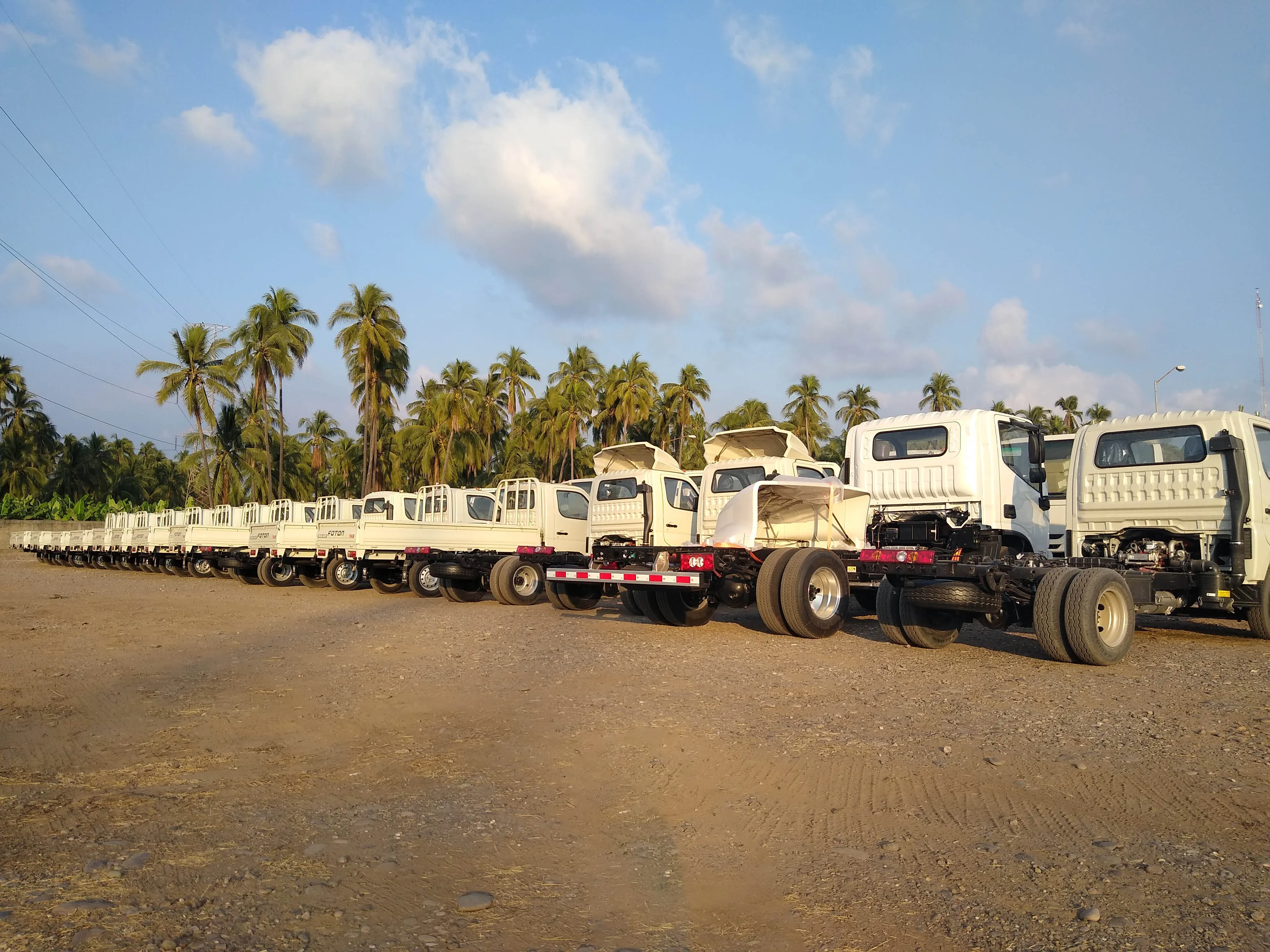 Vehículos pequeños de carga color blanco, vistas desde atrás.