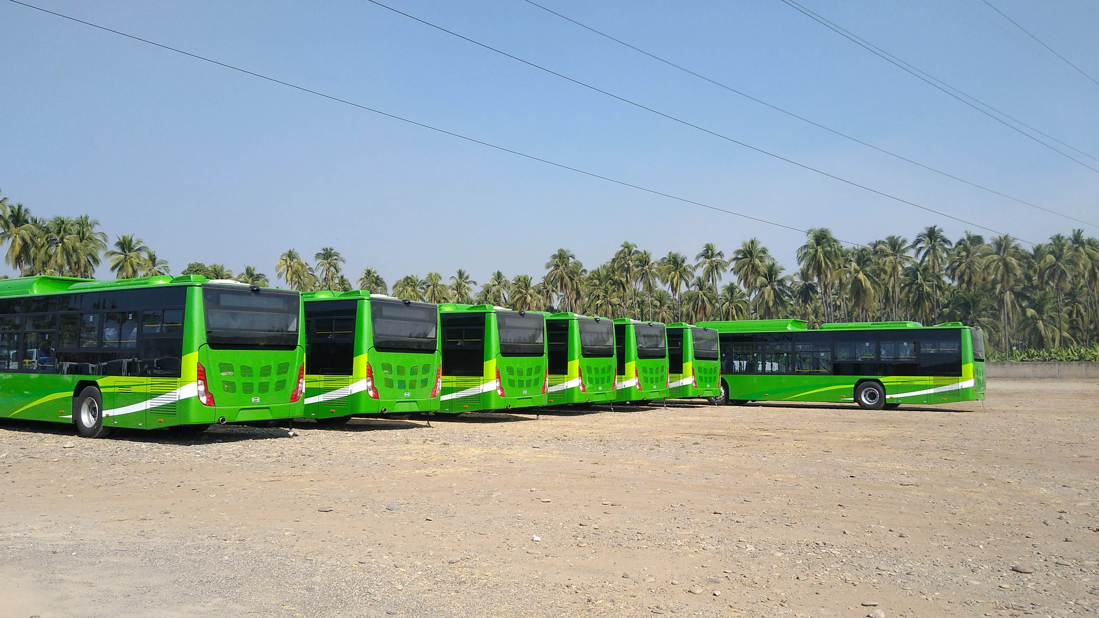 Camiones de transporte público, vistos desde atrás.